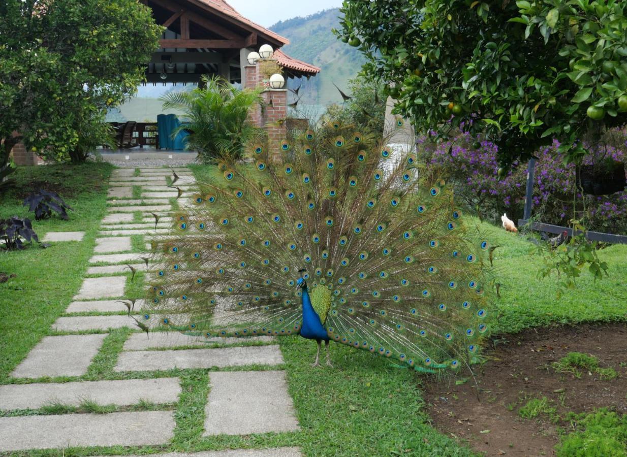 Patio Bonito Guest House Jardin Exterior photo